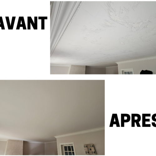 Toiles unies - pièce de vie - avant / après