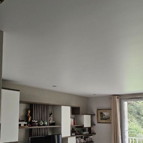 toiles unies - salon - plafond tendu blanc satiné